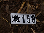 164ŵ̨